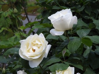 22052402.jpg