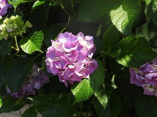 22061202.jpg