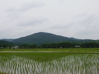 22062402.jpg