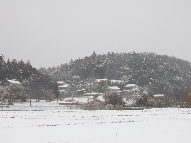 結婚相談所埼玉　嵐山町の雪　田んぼや畑、里山に雪が積もった写真です。